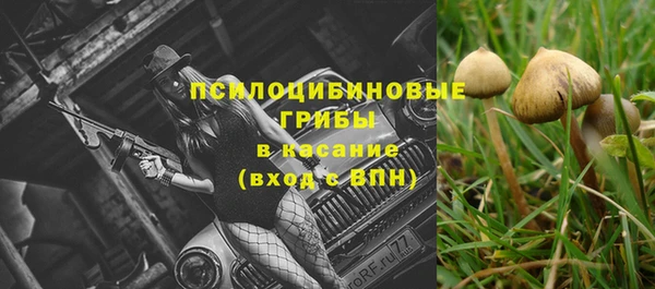 мяу мяу мука Алексин