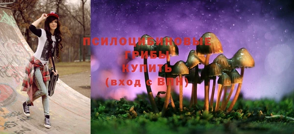 ECSTASY Алексеевка