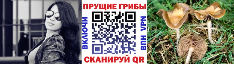 Галлюциногенные грибы мицелий  Малоархангельск 